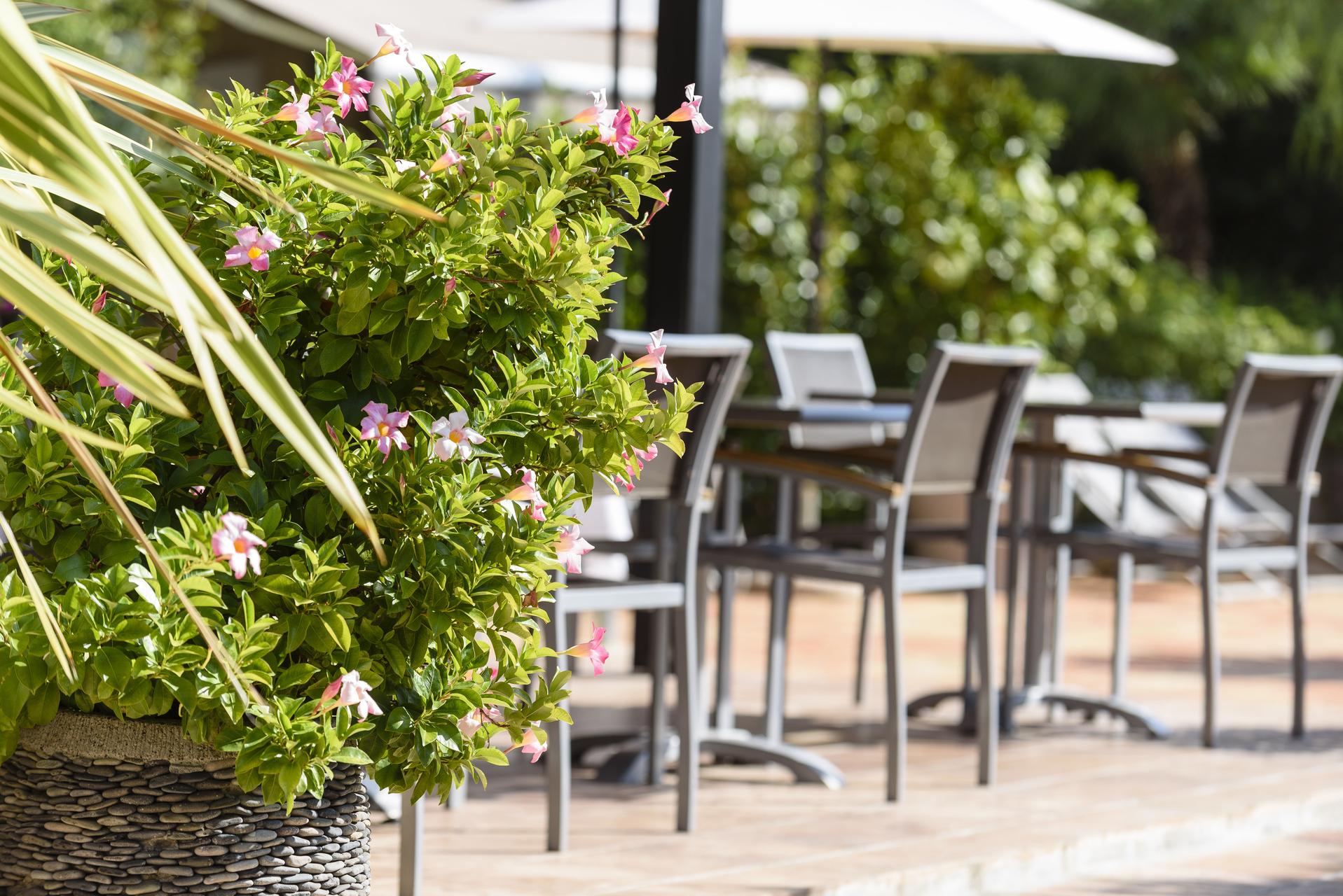 Domaine Du Calidianus Hotel Сен Максим Екстериор снимка